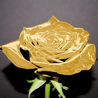 Gold Rose