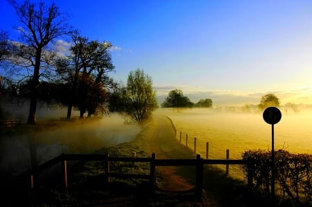 BEAUTIFUL MORNING  - morning, sign board, fence, trees, water, path, mist