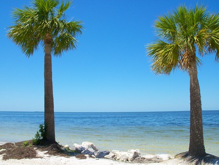 ~Sunset Beach~Taropn Springs, Florida~ - sky, sugar sand, ocean, palm trees, beach, florida, nature, beautiful, sand, sea