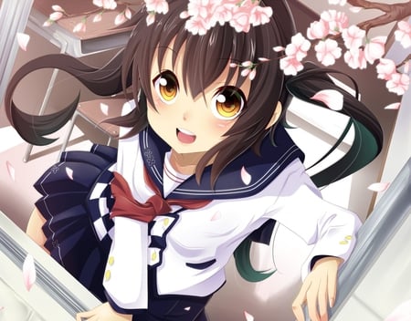 Warm Spring - sexy, girl, brown eyes, long hair, spring, brown hair, anime, blush, cherry blossoms, cute