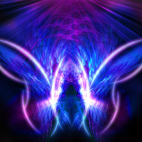 BUTTERFLY IMAGE FRACTAL