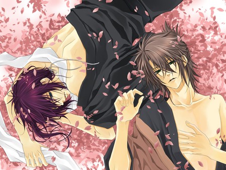 hakouki shinsengumi kitan - blossom, cherry, petals, pink, samurai, saito hajime, males, guys, sanosuke harada