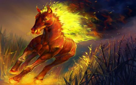 fire of freedom - freedom, picture, horse, fire