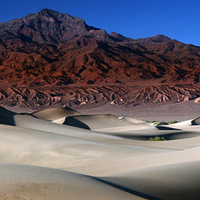 The Mesquite Dunes