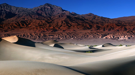 The Mesquite Dunes - nature, mountains, desert, usa