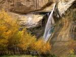 Calf Creek Falls, Grand Staircase-Escalante National Park