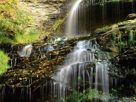 Cathedral Falls - West Virginia - nature, waterfalls