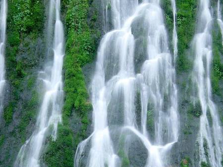 Gifford Pinchot National Forest, Washington - washington, gifford pinchot national forest