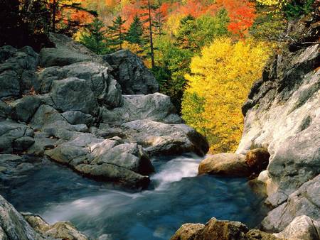 Glen Ellis Falls, White Mountain National Forest - nature, glen ellis falls, autumn, falls, forests, glenellis, white mountain national forest