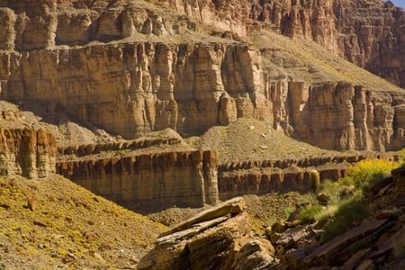 Walls of Brittlebush - nature, walls