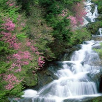 Tochigi Prefecture, Nikko, Japan