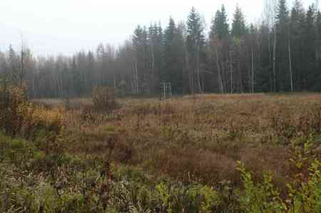 Moose hunting in Finland high seat - hunting, finland, moose hunting