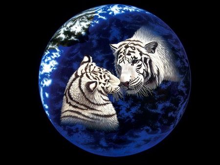 Mother Earth - white tiger, earth, tigers, love, animals