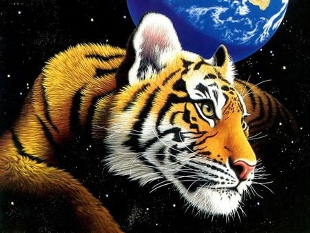 Tiger-Galaxies - world, galaxies, babies, aniamls, cubs, earth, tigers, art