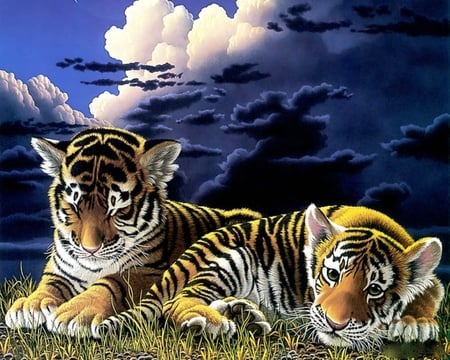 Tiger Cubs - animals, tigers, nature, art, abstract, cubs, baby, wild, cats, companions, tiger, schimmel