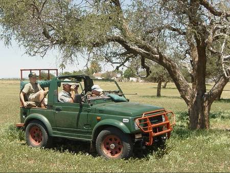 Hunting Africa - africa, hunting, jeep