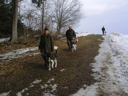 Canes Venatici, Apprenticeship - hunting, apprenticeship, canes venatici