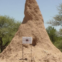 Shooting Stand, Omatako, Namibia