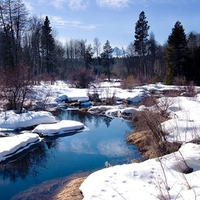 Snowy River