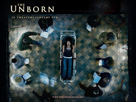 The Unborn - cam gigandet, michael bay, james remar, odette yustman, garry oldman, meagan good, horror, the unborn, rogue pictures