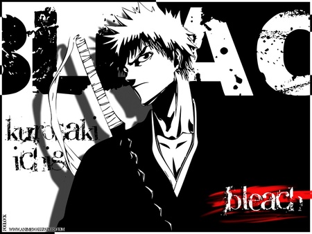 Bleach - anime