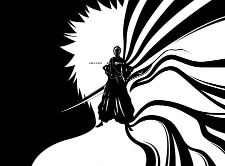 Ichigo - reaper, bleach, rukia, bankai, characters, ichigo, kon, soul, hollow