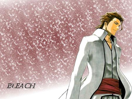 Sousuke Aizen - reaper, bleach, rukia, bankai, characters, ichigo, kon, soul, hollow