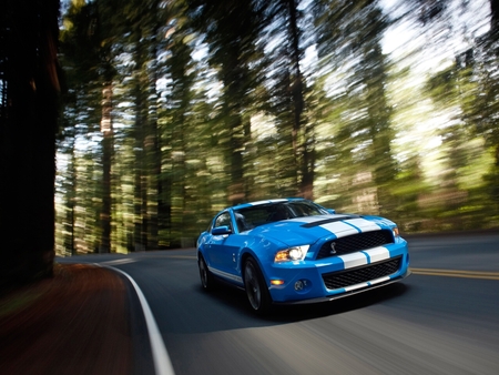 2010 Ford Mustang Shelby GT500 - shelby, 2010, mustang, gt500, ford