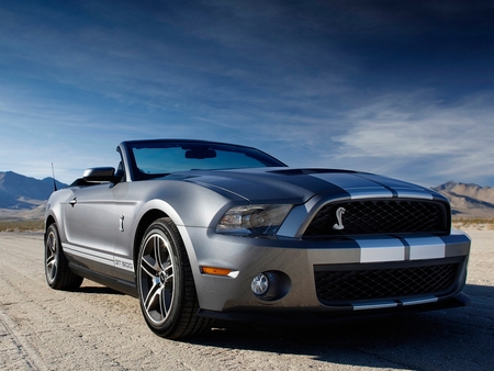 2010 Ford Mustang Shelby GT500 - shelby, ford, 2010, gt500, mustang