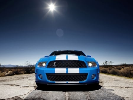 2010 Ford Mustang Shelby GT500 - shelby, 2010, mustang, gt500, ford