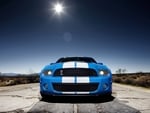 2010 Ford Mustang Shelby GT500