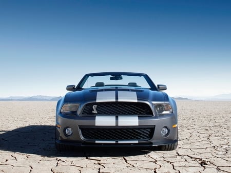 2010 Ford Mustang Shelby GT500 - shelby, 2010, mustang, gt500, ford