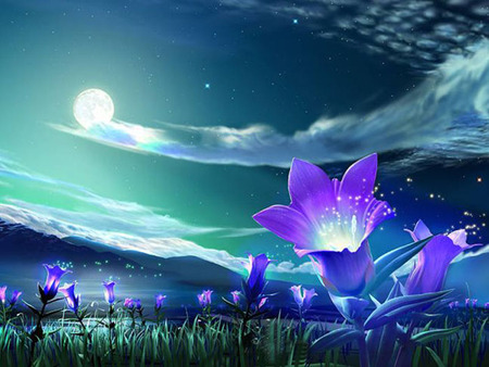 Moonlight - Other & Nature Background Wallpapers on Desktop Nexus ...