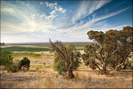 Australia  - feilds, australia