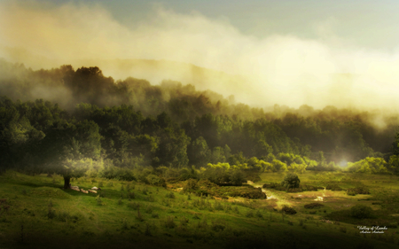 Valley of Lambs - lambs, fantasy, vally, forrest