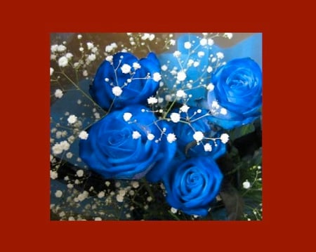 BLUE ROSES on RED WALL - roses, blue