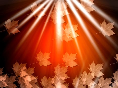 MAPLE LIGHTS - brown, light, maple, leaves, white, nature, autumn, background, seasons