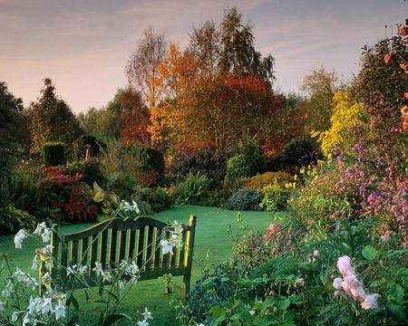 A LOVERS PARADISE WITH BENCH AND FLOWERS - for, lovers, beautiful