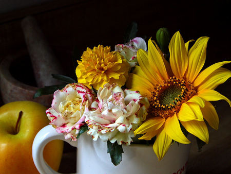 Cup of sunshine - sunflower, beautiful, peonie, flowers, apple, cup, carnations