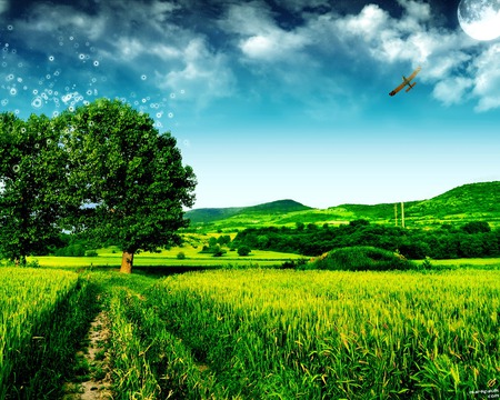 Magic tree - grass, trees, sky