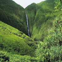 green waterfall