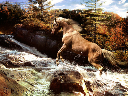 the grace of nature - river, grace, nature, horse