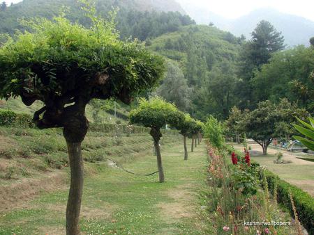 Park inside the mountains - trail, green, kashmir, mountains, park