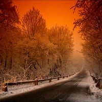 WINTER SNOW ROAD