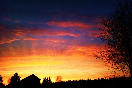 ~Just one day is the other same~ - clouds, read, blue, evening, orange, tree, black, sunset, sun, sky