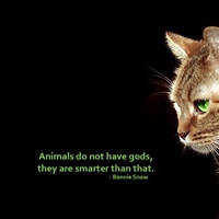 Cat are smarter then humans.