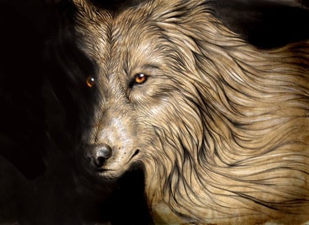 Darkness-wolf - abstract, wolf, eyes, 3d, art, darkness