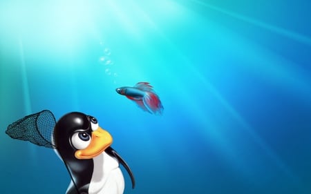 linux pinguin - linux, technology