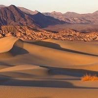 Sunset, Dunes and Bush