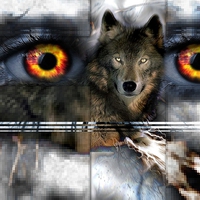 EYES OF THE WOLF